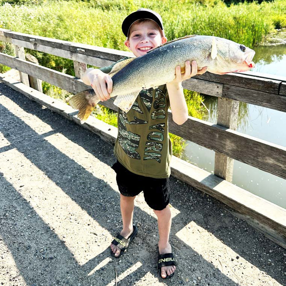 This is what is at stake if the gravel pit is allowed to destroy the fragile ecosystem next to the Shell River at Cottage Cove. All summer long, there are retirees and their grandchildren, schoolchildren, and locals enjoying the quiet, clean environment.