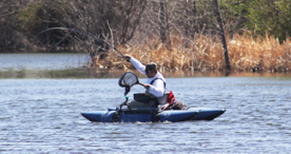 Bug Chucker needs volunteers