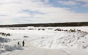 First one in the books