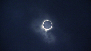 A potentially once-in-a-lifetime opportunity that I wish to experience again