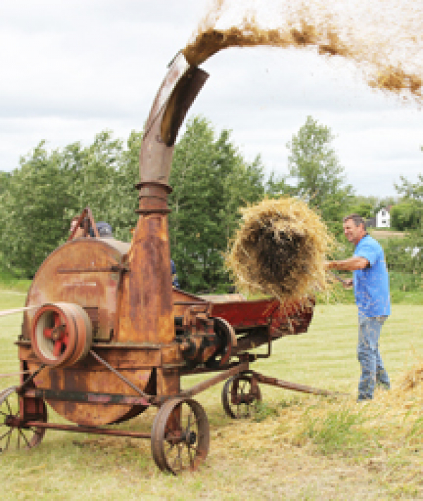 KPM cancels Show Day