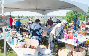 Fabulous finds for furry friends