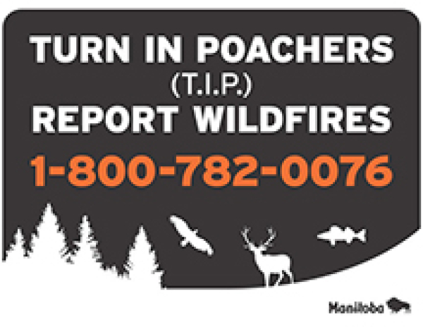 Men plead guilty to hunting offenses