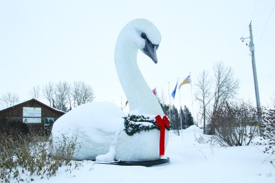 Happy Brr Year
