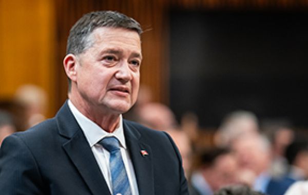 New role for local MP