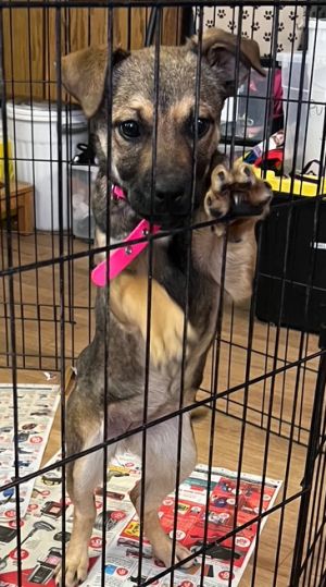 TPAAS still on intake freeze