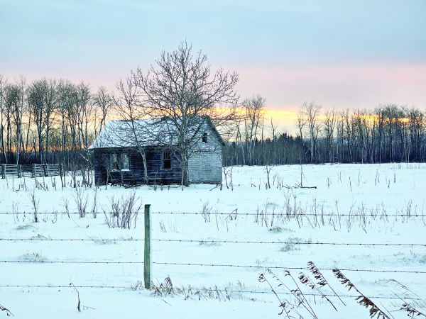 Winter has Arrived