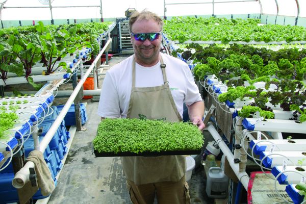 Barefoot Farms growing big or small green foods for your table