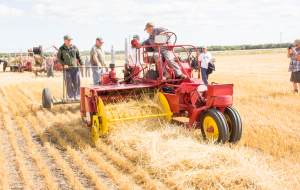 Threshing Day!