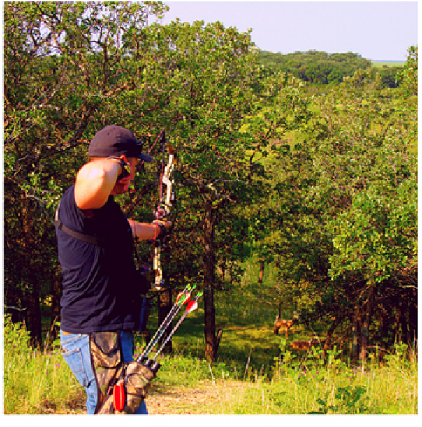 Archery club hosting 3D fun shoot