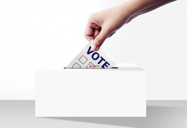 Election candidates have been announced in the Valley