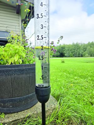 Is it wet enough for you?