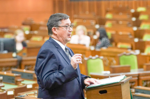 Mazier guides bill through second reading