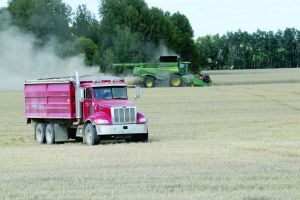 Harvesting the Results