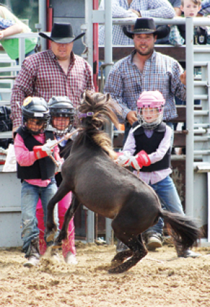 RAS gearing up for fair and rodeo