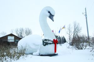 LOOKING BACK AT 2025 - HAPPY BRR YEAR