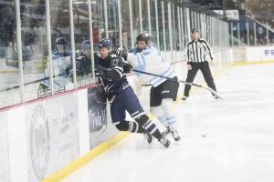 Kings beat the Blues, game against Blizzard postponed