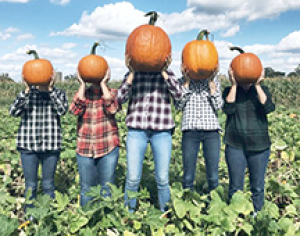 Harvest Festival set for Sept. 16