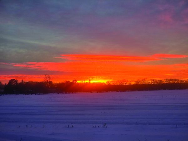 Red Sky in Morning