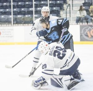 Rookie netminder records back-to-back shutouts for Kings