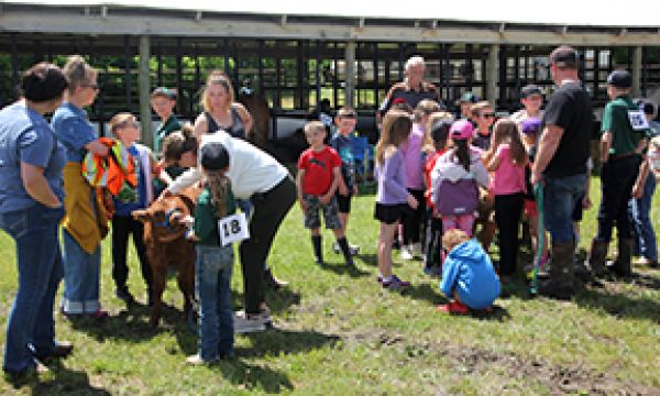 4-H beef club holds Achievement Day