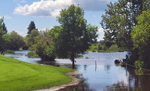 Golf course board reaches out