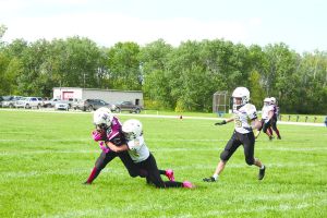 Swan Valley Bengals fall to Vipers at home