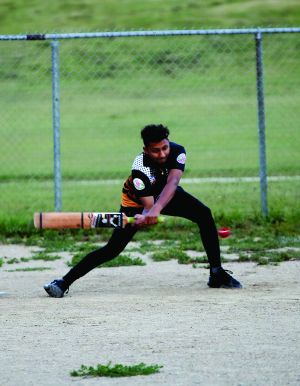 Crikey It's Cricket!