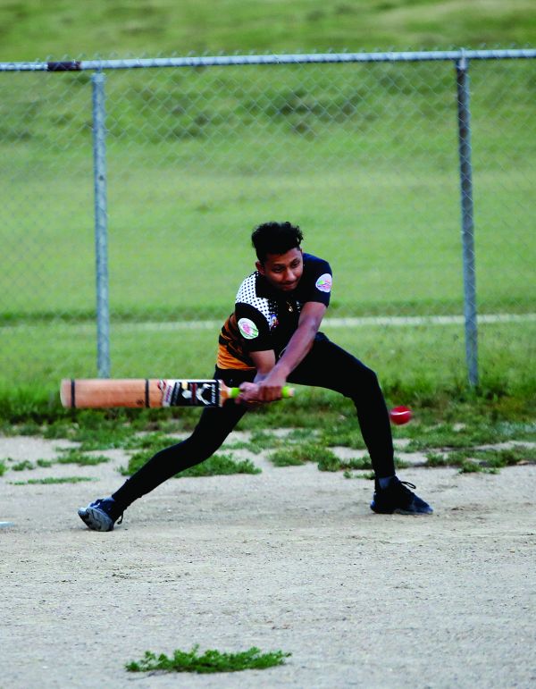Crikey It's Cricket!