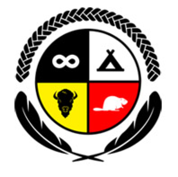 NeeStaNan has new vision for the future of transport