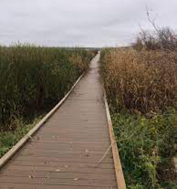 Opasquia trails planning session