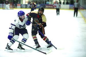 Tigers edged in overtime opener