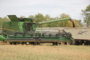 Harvest about half done