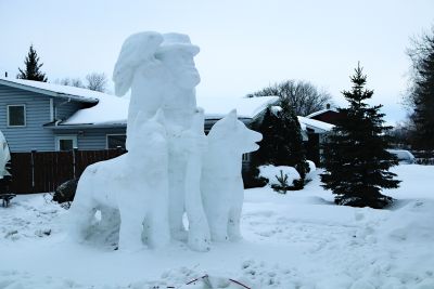 Snow Wanderer