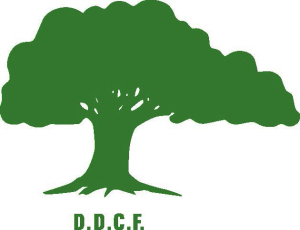 Seniors fund set up by DDCF