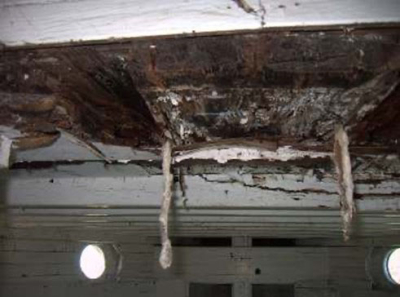 Skippy L story steeped in freight history