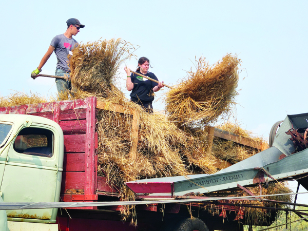 Celebrating the Harvest