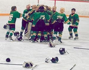 U11s win provincial C gold