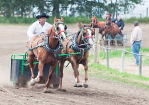 GP/GV Fair and Rodeo delivers again