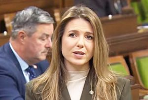 MP tables 'Silver Alert' bill