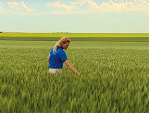 Farmers offered a reward