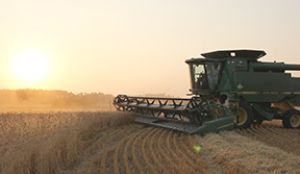 A terrific opportunity