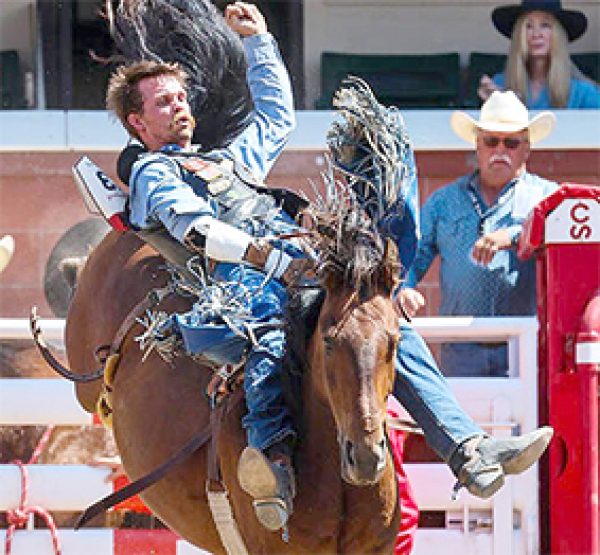 Another Stampede for Larsen