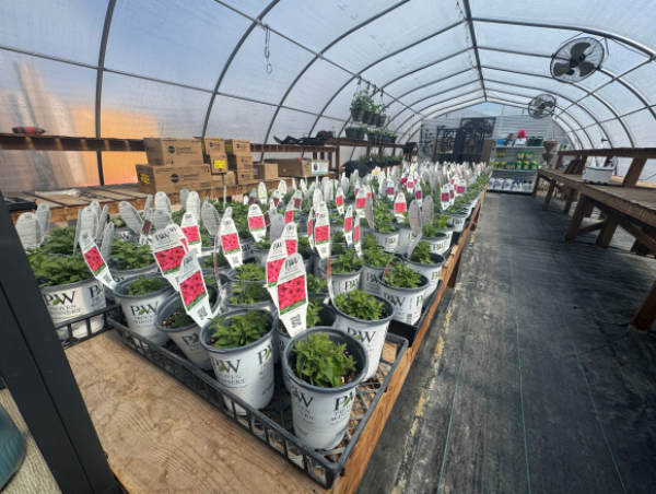 Planning for the gardening season