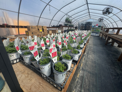 Planning for the gardening season