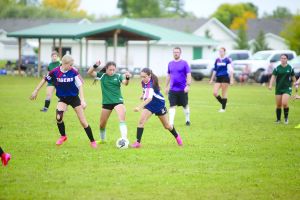 Home Pitch Advantage