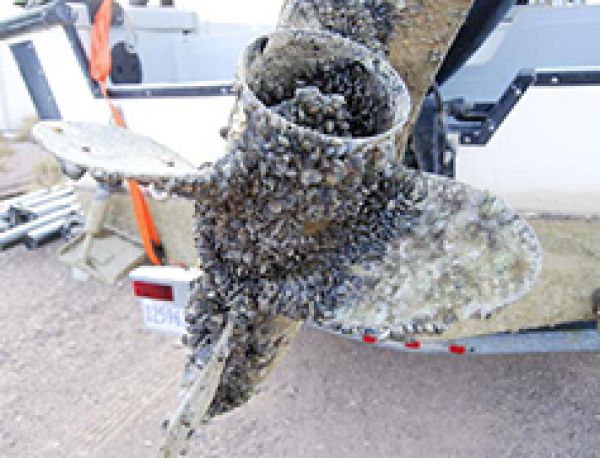 New rules for Clear Lake