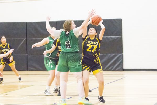 Clippers basketball teams finding success on the hardcourt