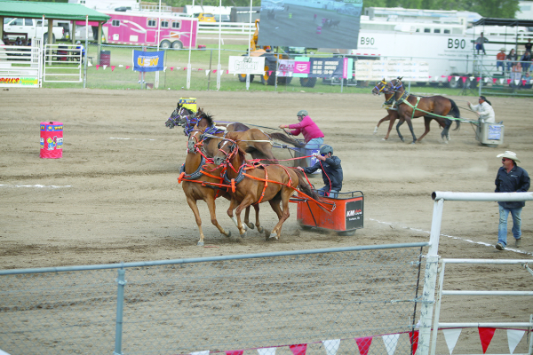 Off to the Races