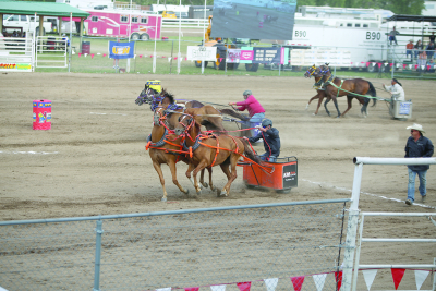 Off to the Races